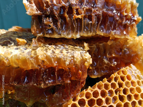 Fresh honey in comb. Healthy food concept, diet
