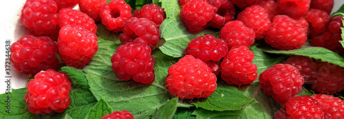 Obraz na płótnie photo of raspberries and mint leaves. ingredients for mojito. Top view w salonie