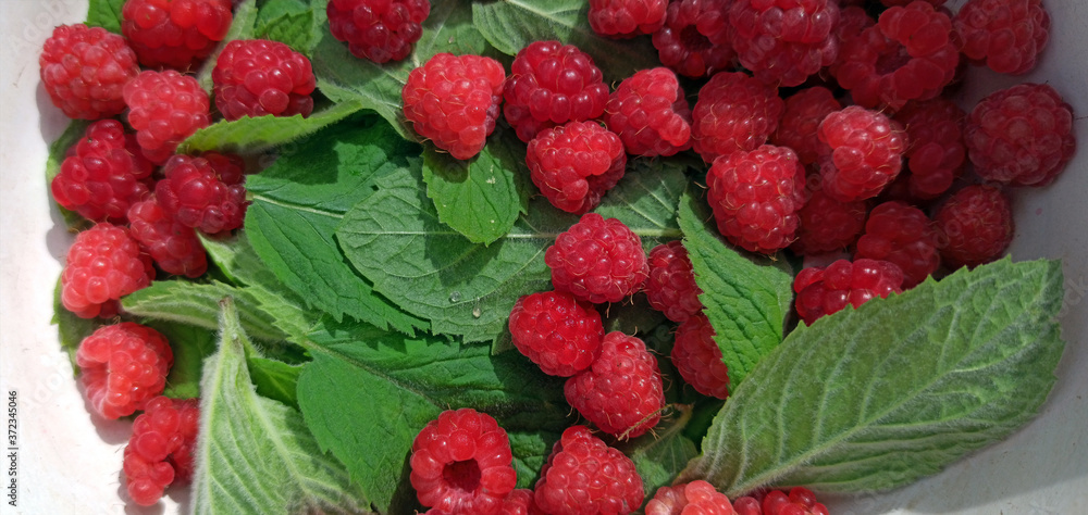 photo of raspberries and mint leaves. ingredients for mojito. Top view
