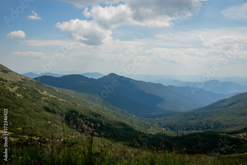 Carpathians mountain range at summer morning. Beauty of wild virgin Ukrainian nature. Peacefulness.