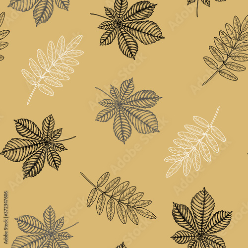 Seamless pattern with autumn leaves. Perfect for wallpapers, web page backgrounds, surface textures, textile.