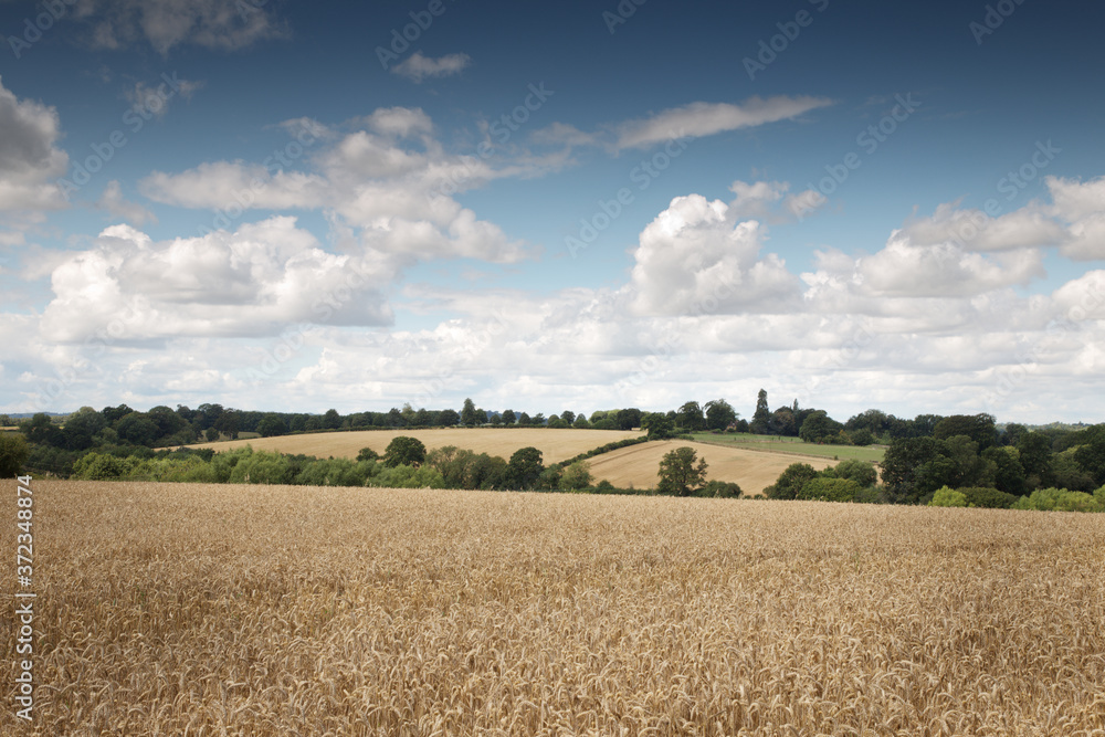 lovely countryside of Oxfordshire