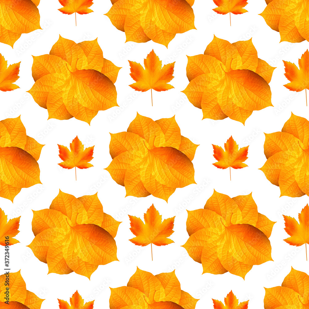 Fototapeta premium Seamless autumn pattern. Fallen leaves on white background, isolated