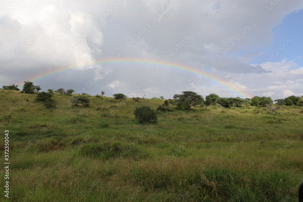 Rainbow over African Serengeti savanna landscape in Maasai Mara, Kenya, Africa
