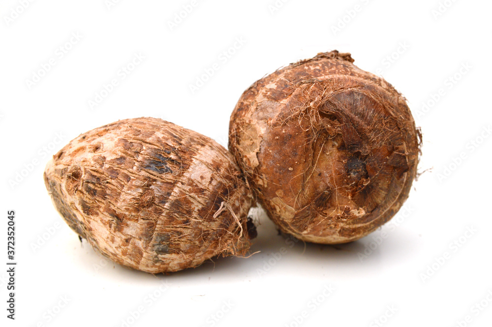 Closeup of taro on white background Closeup of taro on white background