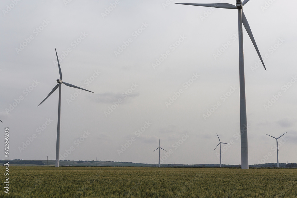 Molinos de viento en Cadiz
