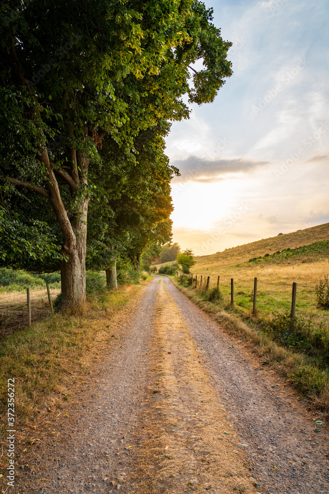 Rural country road on the Swedish west coast during golden sunset. Selective focus.