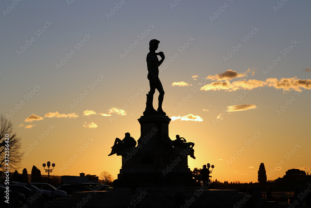 David of Michelangelo, Florence, Italy. Firenze David of Michelangelo, Florence, Italy. Firenze