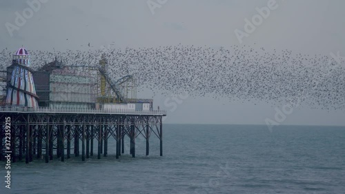 Brighton Palace Pier in England with starling murmuration photo