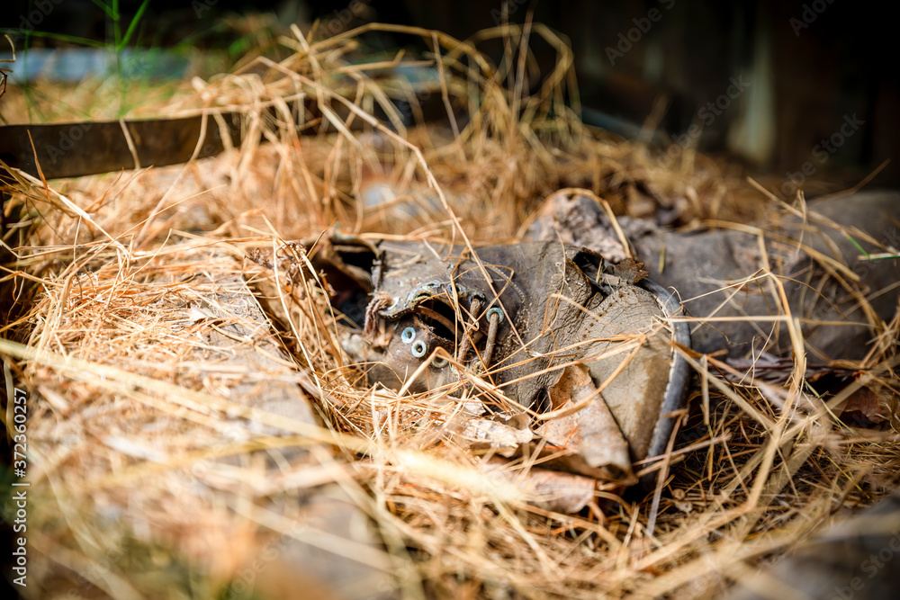 old discarded shoe old discarded shoe