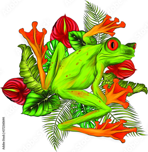 frog green tropical and palm leaves vector illustration color