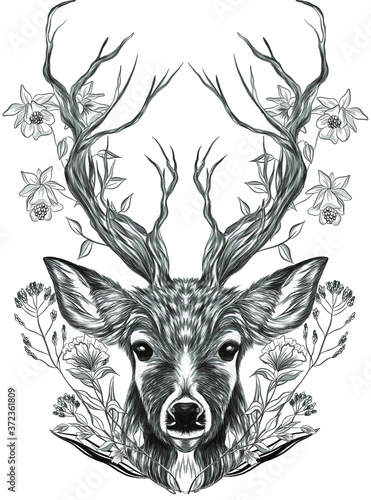 deer head with big horns black and white monochrome flowers vector illustration
