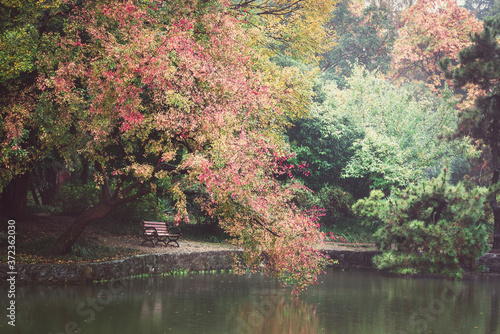 Autumn Colors