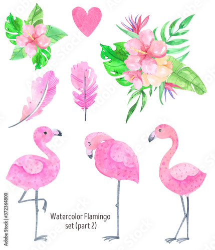 Flamingo watercolor tropical pink flamingo clipart and exotic bird with palm leaves  monstera illustration