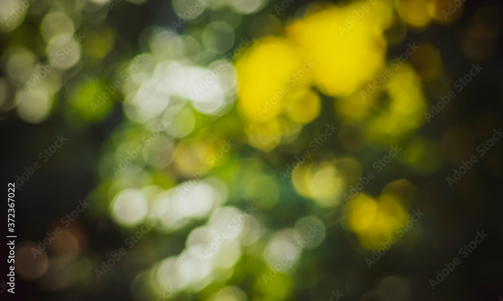 Obraz premium abstract bokeh background