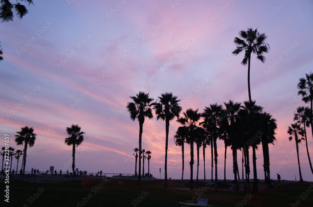 Obraz premium Los Angeles Pink Sunset, California