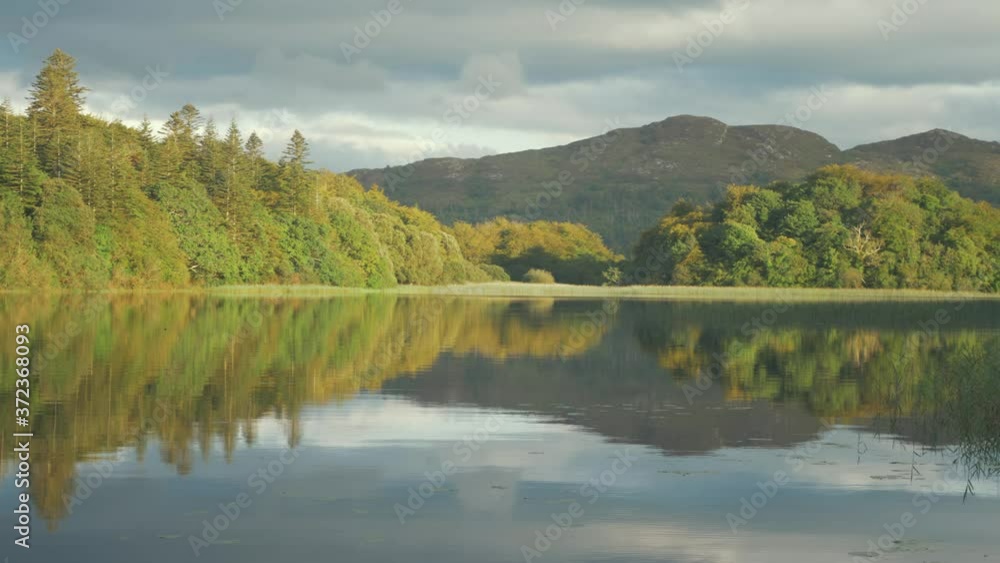 Vibrant scenic lake forest mountain view ripples move across reflective water