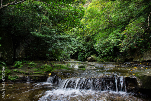 SONY DSC,forest,forestbathing.forestisland,landscape,rocks,water,river,trees,green,nature,japan,okinawa,iriomote,wildforest,toropical,plant,fresh,travel,
風景,森,森林浴,西表島,木,水,川,綺麗な空気,自然,