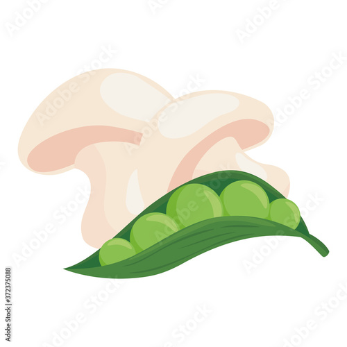 fresh mushroom with pod pea plant, in white background vector illustration design