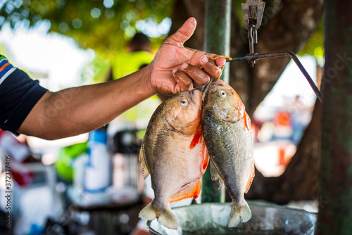 Venta de pescado en las plaza de Puerto Carreño Vichada_Colombia photo