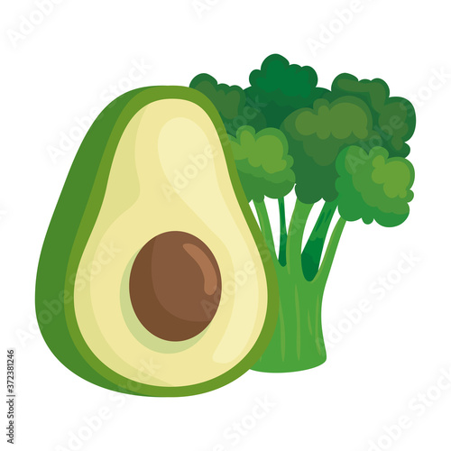 fresh avocado and broccoli vegetables on white background vector illustration design