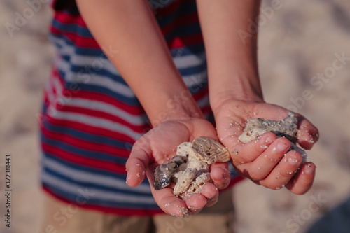 boy child holding sand and rocks on the back in miami beach  photo