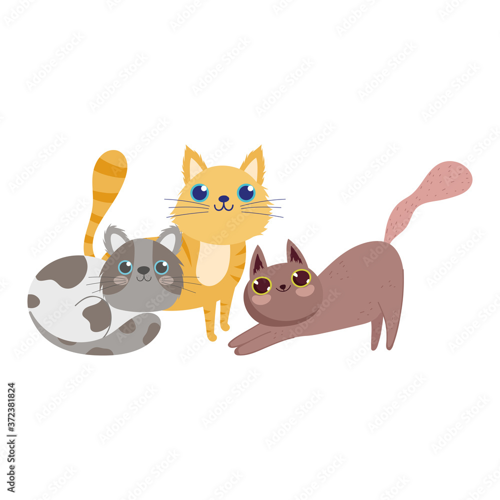 pet shop, cute cats feline animals domestic cartoon