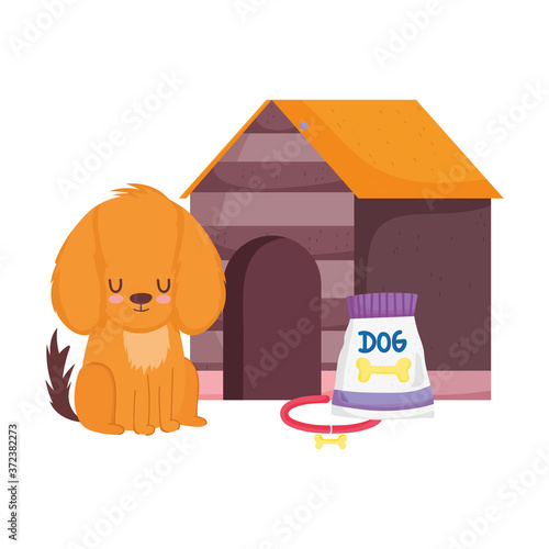pet shop, dog sitting with collar food and house animal domestic cartoon
