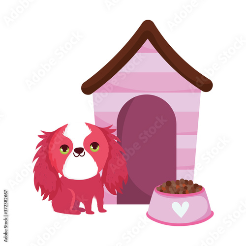 pet shop, shaggy dog with food and house animal domestic cartoon