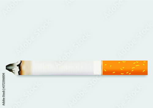 The cigarette isolated on a white background. Vector illustration.
