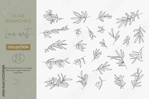 A set of Olive Branches in a Modern Linear Minimal Style. Vector Illustrations of Branches With fruits and Leaves for creating logos, patterns, greeting cards, wedding Invitations