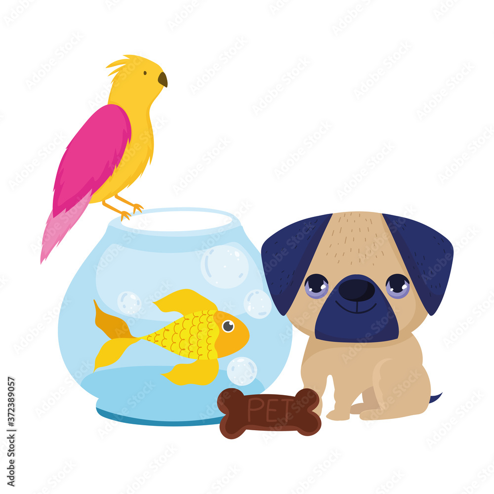 Fototapeta premium pet shop, little puppy bird fish and cookie animal domestic cartoon