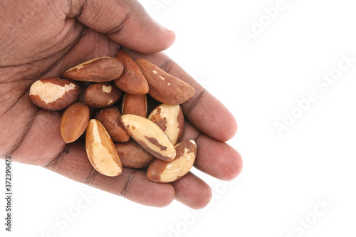 Brazil nuts isolated on white background closeup. Full depth of field