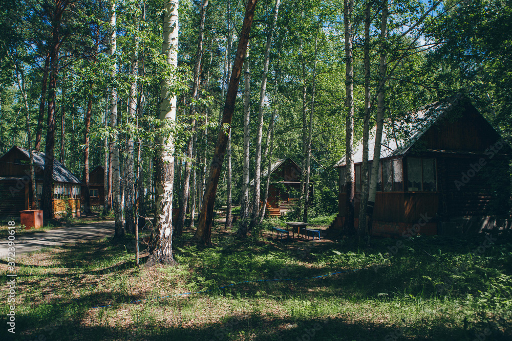 summer wooden house in a birch grove. camping in the woods. tourist base for travelers ' recreation. eco-friendly construction summer wooden house in a birch grove. camping in the woods. tourist base for travelers ' recreation. eco-friendly construction