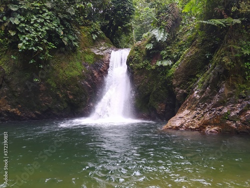 waterfall in the forest