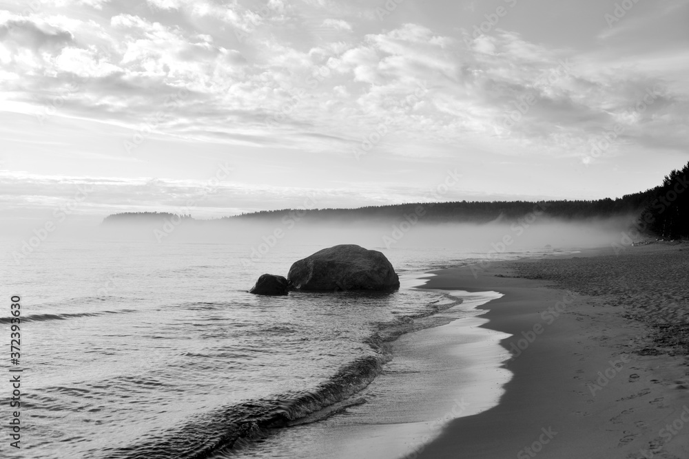 Coast of lake at sunny day.