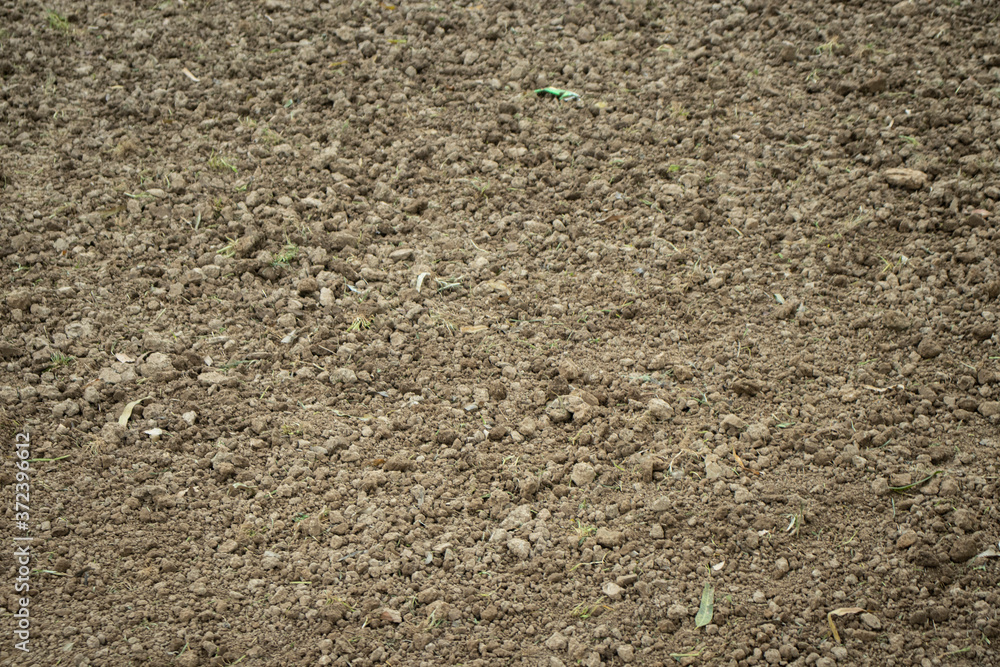 soil background and texture 
