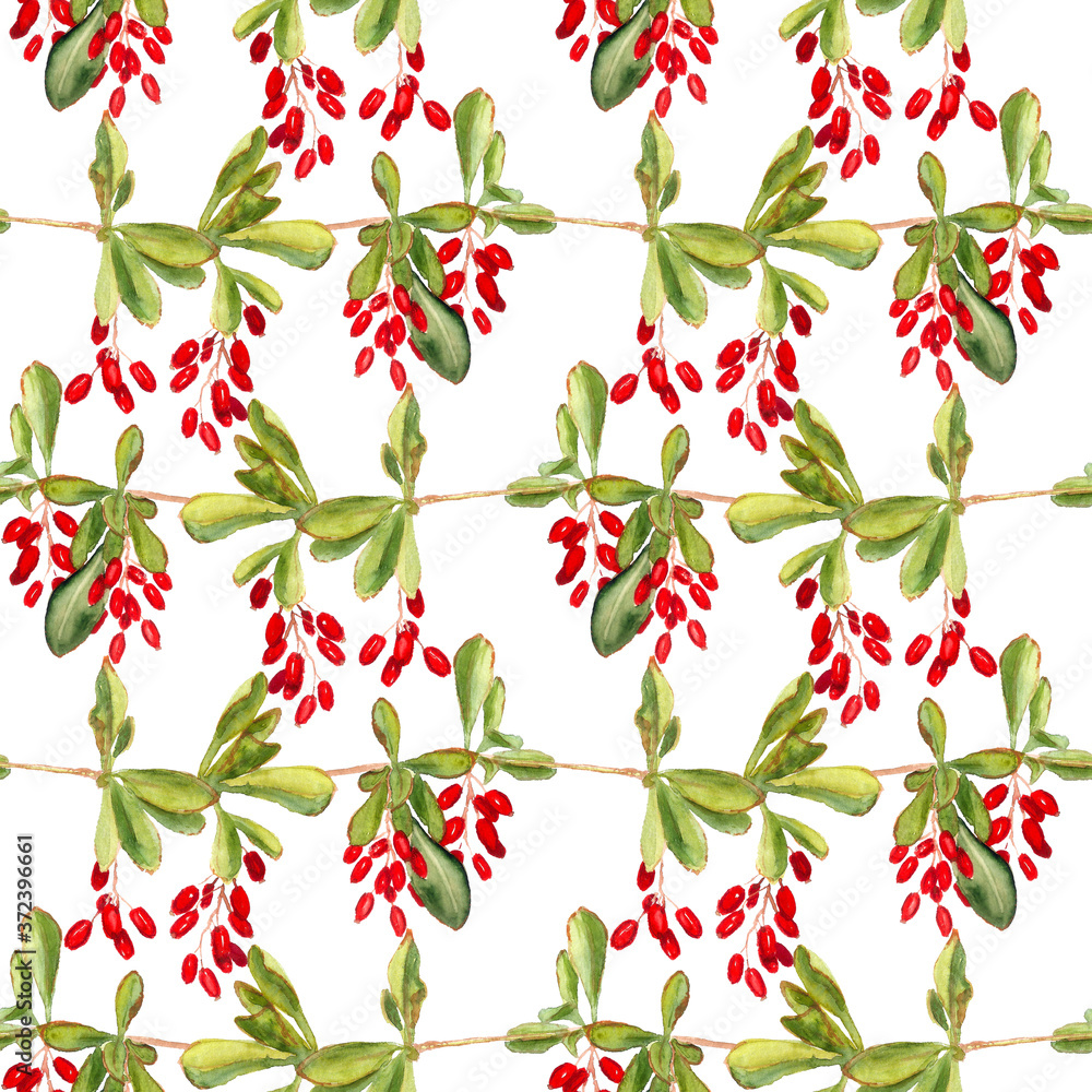 Seamless pattern with red berries of barberry Seamless pattern with red berries of barberry
