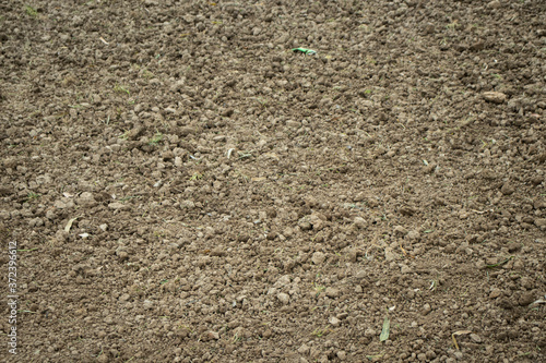soil background and texture 