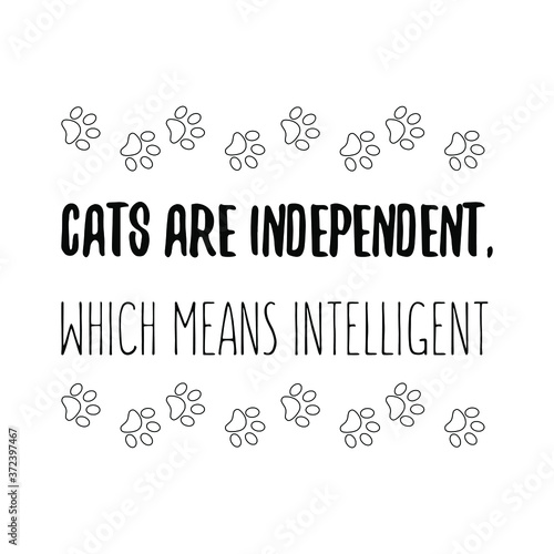 Cats are independent, which means intelligent Vector saying. White isolate