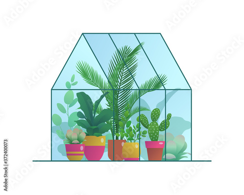 Small home greenhouse with various plants. Glass orangery, winter garden or urban jungles with tropical houseplants in flowerpots flat vector illustration isolated on white background