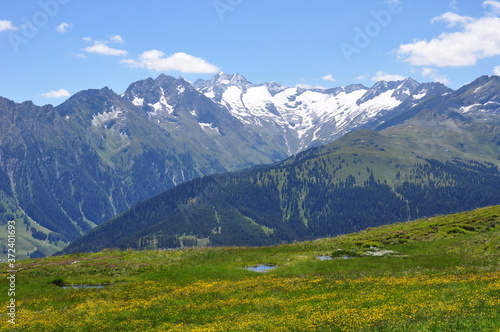 Nice calm mountain view with green meadow in the front.