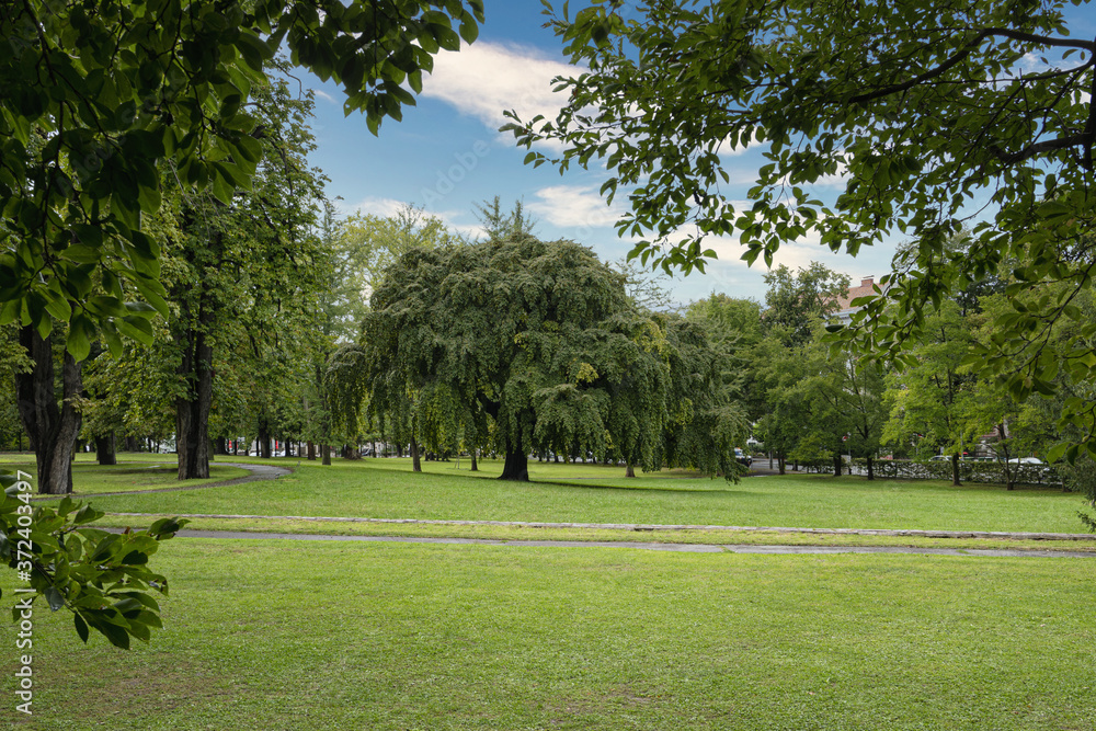Obraz premium Stadtpark in a view of the Stadtpark in Graz