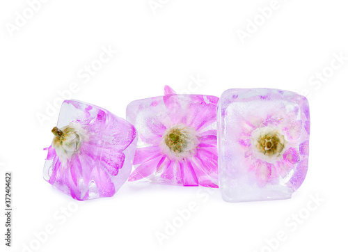 Frozen flowers in ice on white background