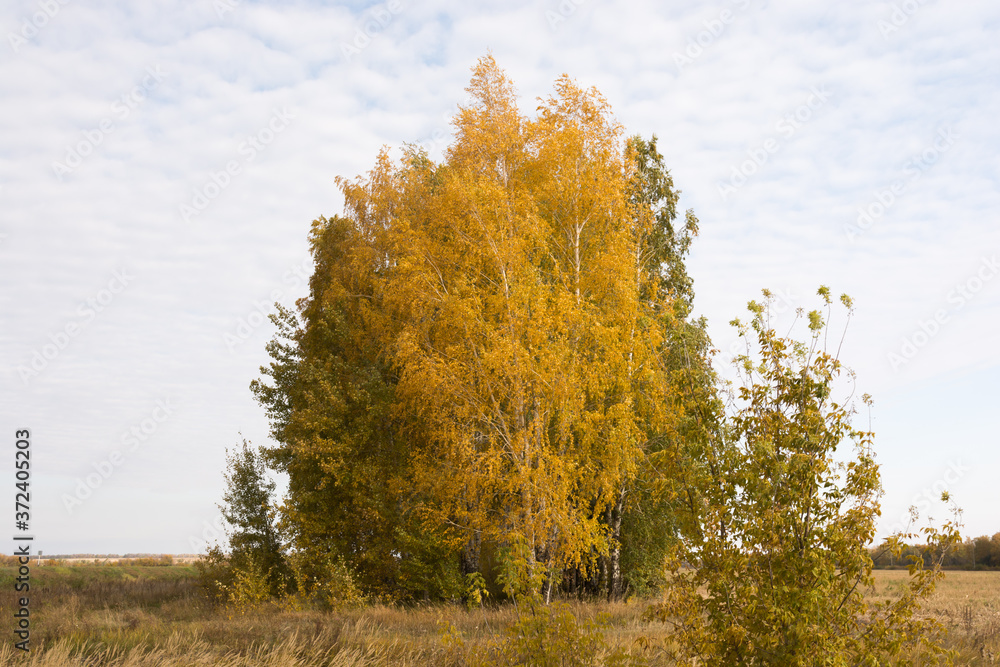 Fototapeta premium Landscape pictures taken around the village Shigony, on the river Cheserek and its surroundings