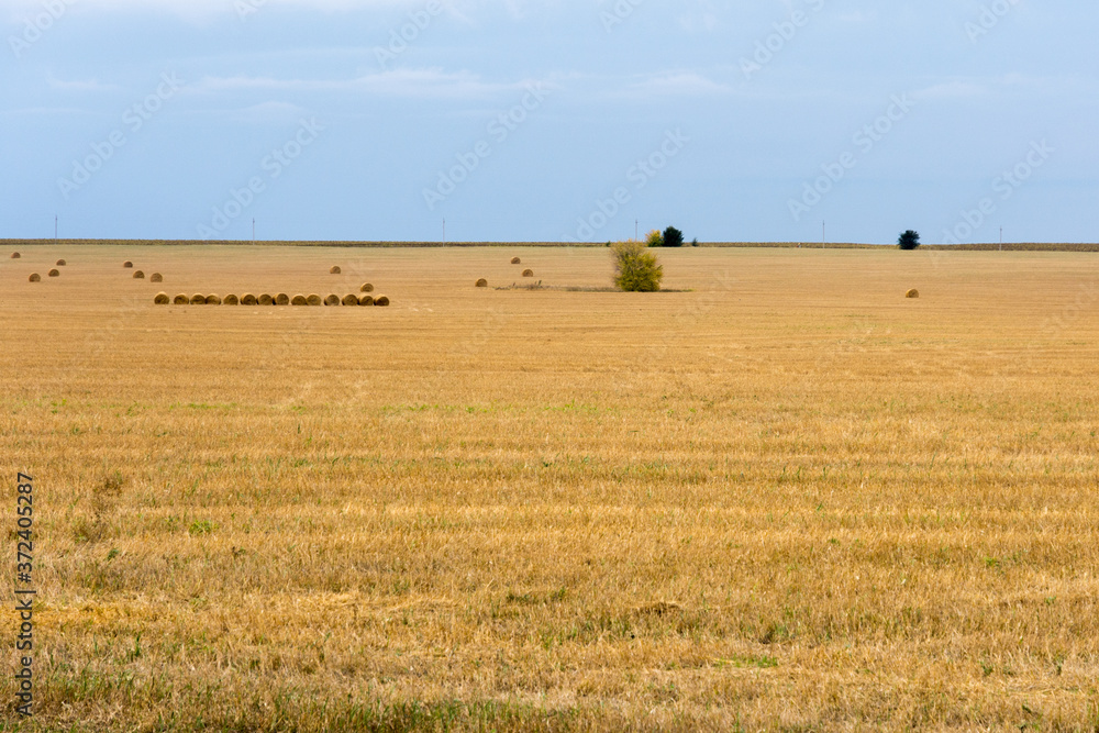 A mown yellowed wheat field under a blue sky