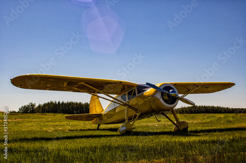 Schilderij op canvas Taildragger in the grass