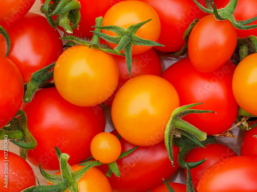 Closeup of home grown tomatoes, varieties Mountain Magic, Tutti Frutti and Sungold photo