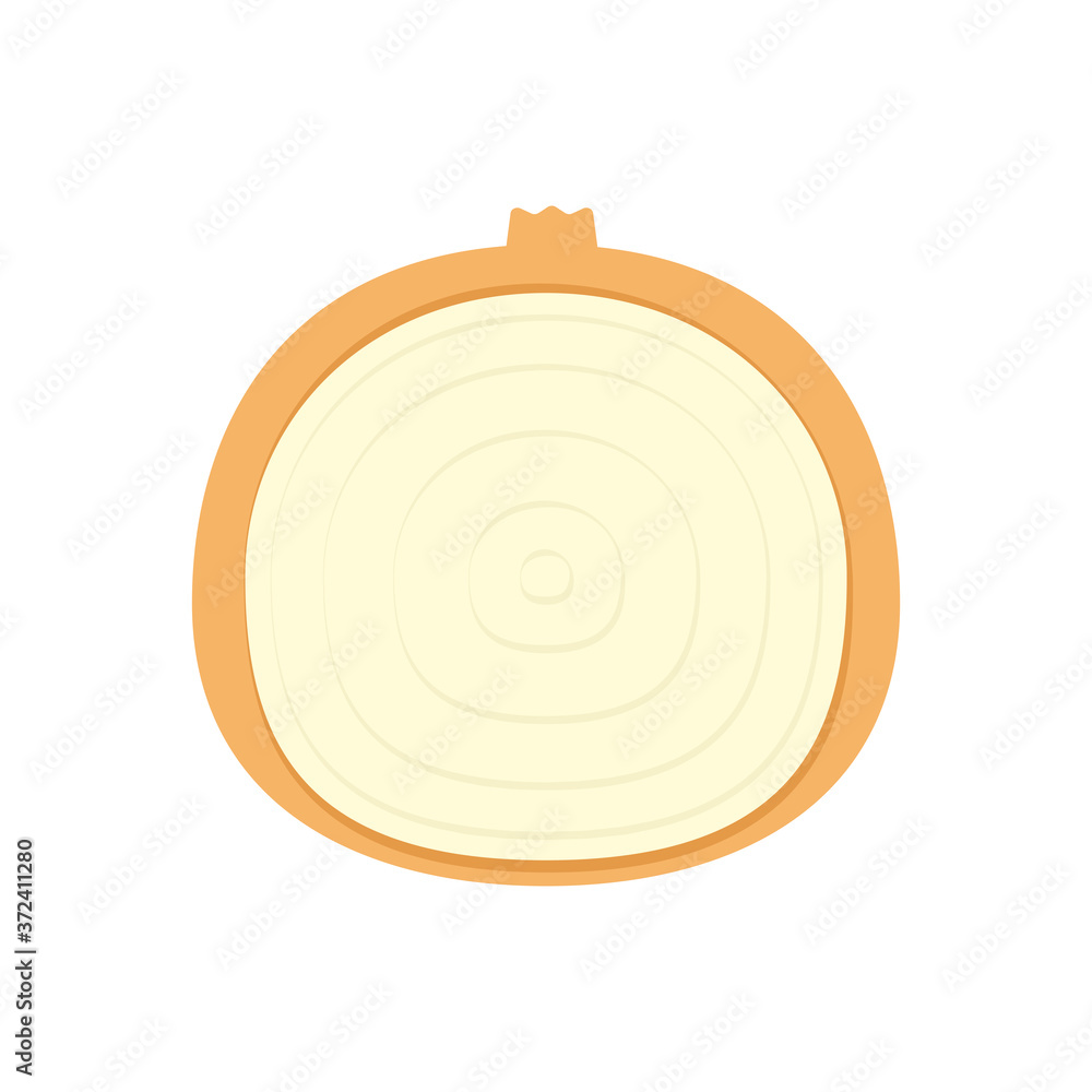 Onion vector. Onion on white background. Onion vector. Onion on white background.