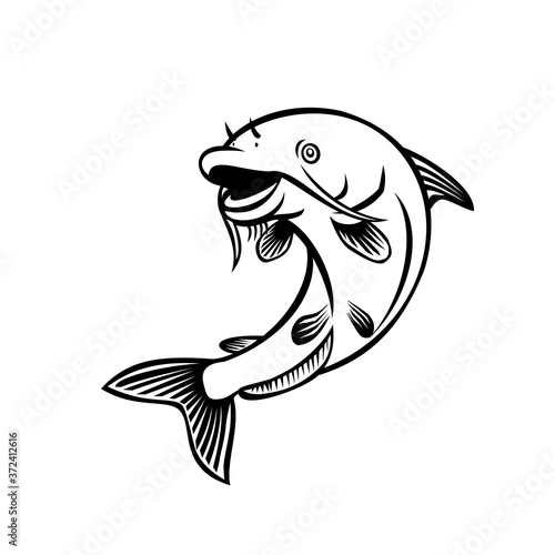 Blue Catfish Ictalurus Furcatus Jumping Up Cartoon Black and White photo